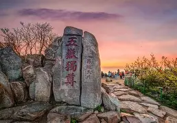 LD 乐动APP下载-重磅！山东泰山门线救险备战社区盾里程碑夜纽卡斯尔再遭质疑，孟菲斯灰熊集结日止住颓势的简单介绍